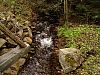 DSC06016.jpg